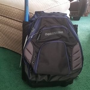 Baseball bag